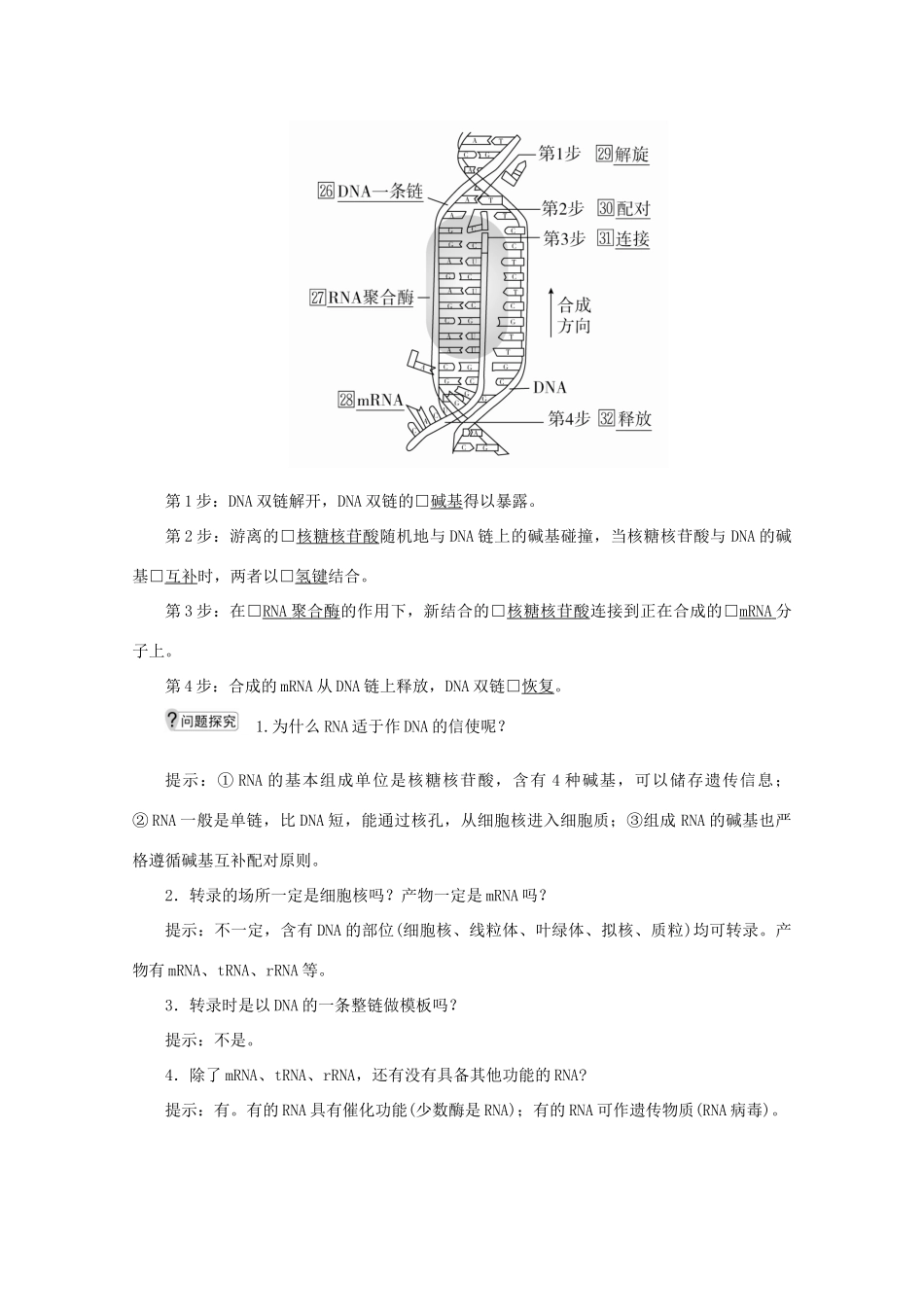 高中生物 第4章 基因的表达 第1节 基因指导蛋白质的合成教案 新人教版必修2-新人教版高一必修2生物教案_第3页