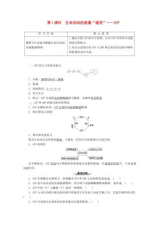 高中生物 第4章 第1节 第1课时 生命活动的能量“通货”——ATP教案 苏教版必修1-苏教版高一必修1生物教案