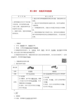 高中生物 第3章 第2节 第2课时 细胞质和细胞器教案 苏教版必修1-苏教版高一必修1生物教案