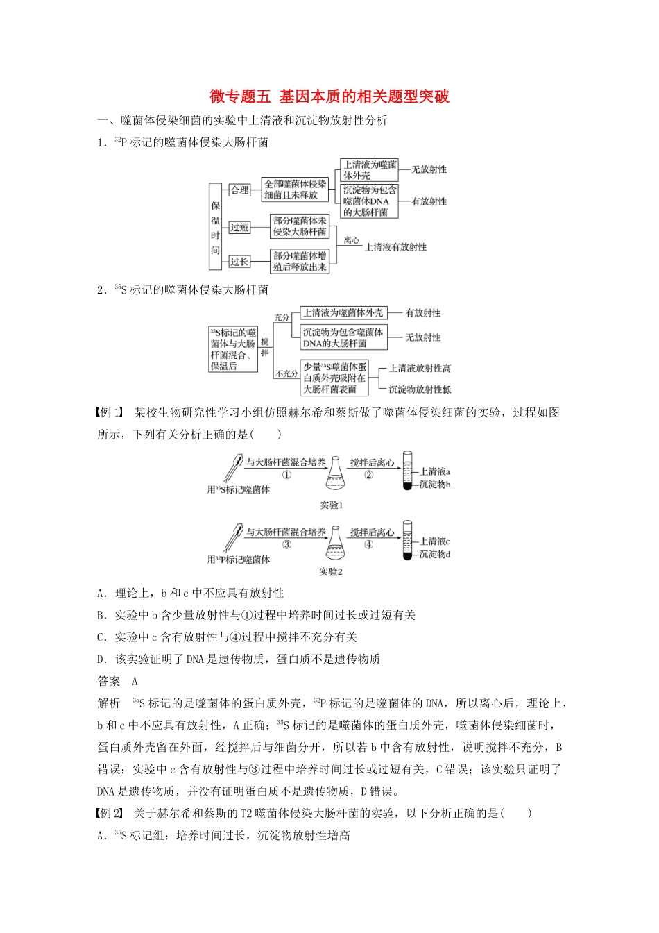 高中生物 第3章 基因的本质 微专题五 基因本质的相关题型突破教案 新人教版必修第二册-新人教版高一第二册生物教案_第1页
