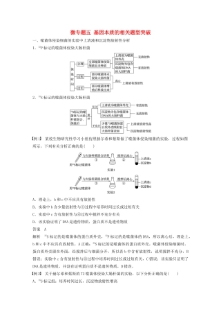 高中生物 第3章 基因的本质 微专题五 基因本质的相关题型突破教案 新人教版必修第二册-新人教版高一第二册生物教案