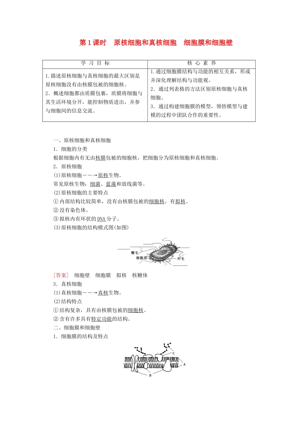 高中生物 第3章 第2节 第1课时 原核细胞和真核细胞 细胞膜和细胞壁教案 苏教版必修1-苏教版高一必修1生物教案_第1页