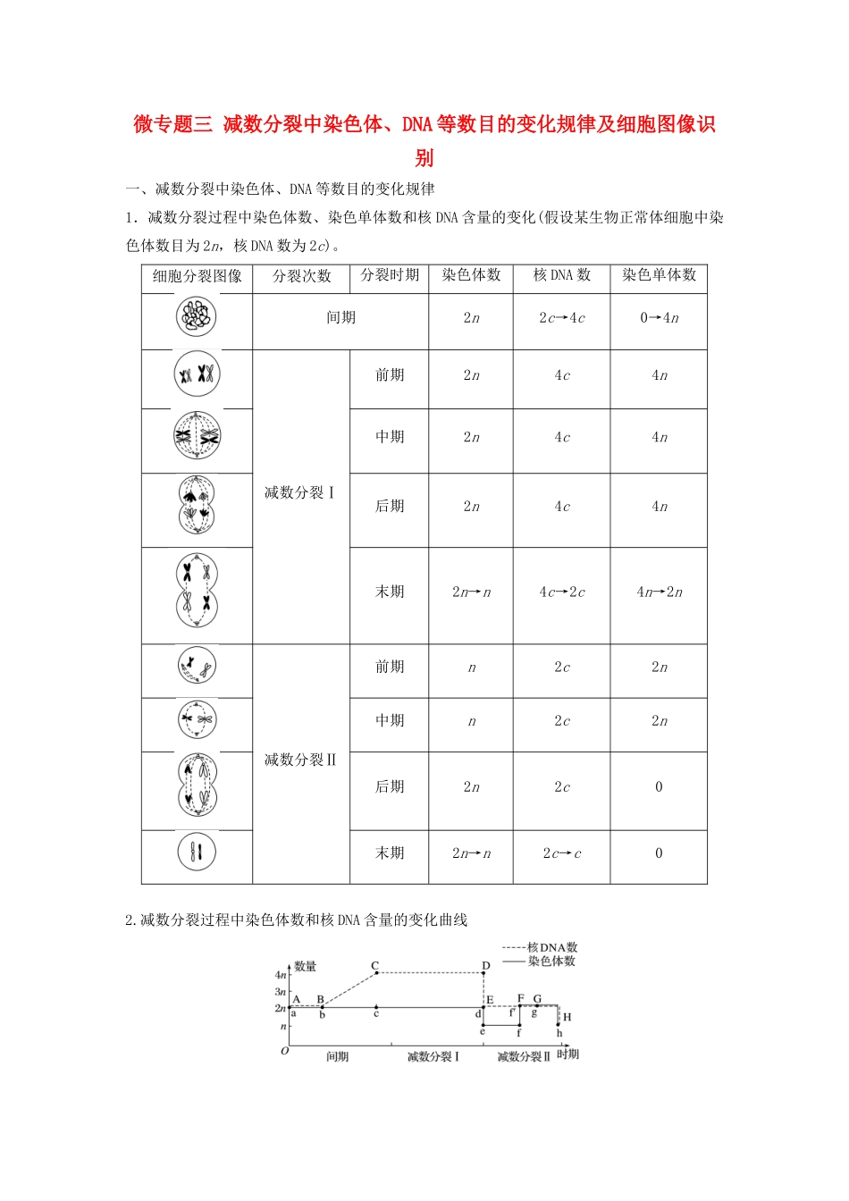 高中生物 第2章 基因和染色体的关系 微专题三 减数分裂中染色体、DNA等数目的变化规律及细胞图像识别教案 新人教版必修第二册-新人教版高一第二册生物教案_第1页