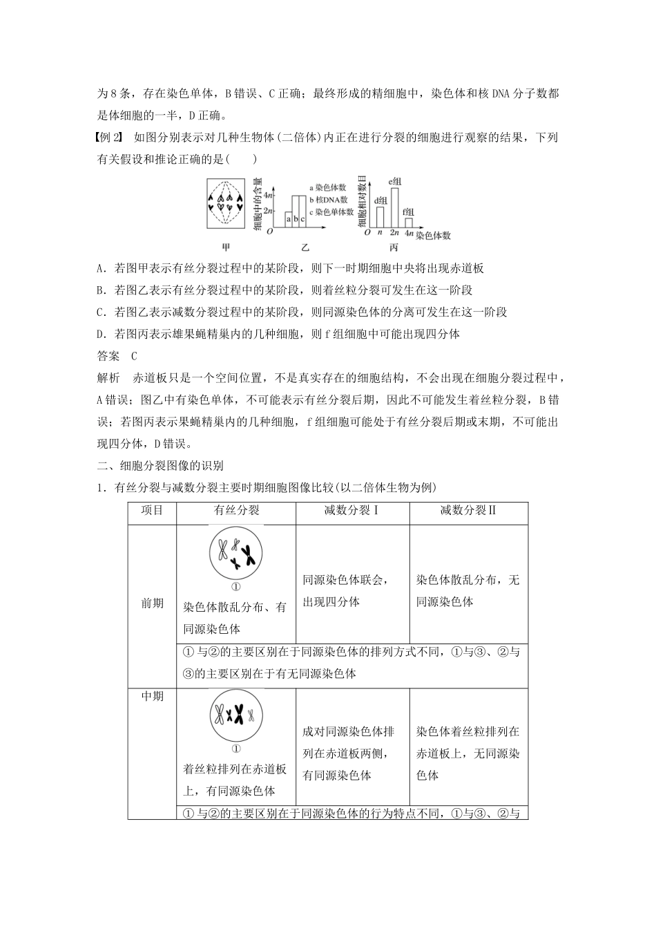 高中生物 第2章 基因和染色体的关系 微专题三 减数分裂中染色体、DNA等数目的变化规律及细胞图像识别教案 新人教版必修第二册-新人教版高一第二册生物教案_第3页