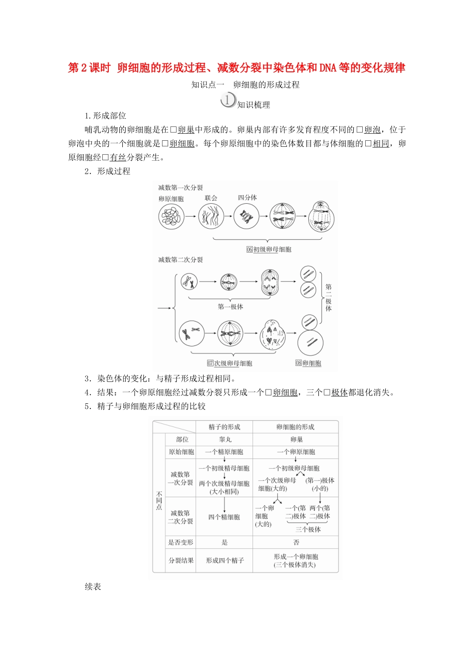 高中生物 第2章 基因和染色体的关系 第1节 第2课时 卵细胞的形成过程、减数分裂中染色体和DNA等的变化规律教案 新人教版必修2-新人教版高一必修2生物教案_第1页