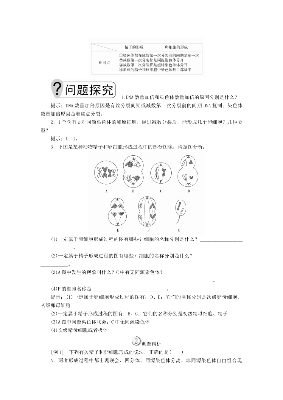 高中生物 第2章 基因和染色体的关系 第1节 第2课时 卵细胞的形成过程、减数分裂中染色体和DNA等的变化规律教案 新人教版必修2-新人教版高一必修2生物教案_第2页