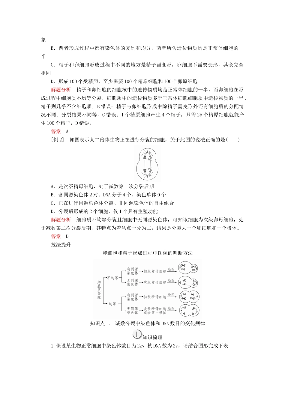 高中生物 第2章 基因和染色体的关系 第1节 第2课时 卵细胞的形成过程、减数分裂中染色体和DNA等的变化规律教案 新人教版必修2-新人教版高一必修2生物教案_第3页