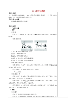 九年级物理上册《杠杆与滑轮》复习教案 苏科版-苏科版初中九年级上册物理教案