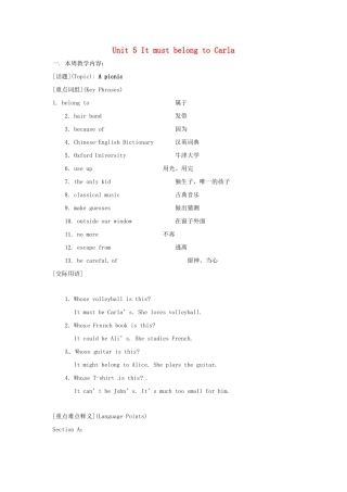 九年级英语 Unit 5It must belong to Carla 教案 人教新目标版