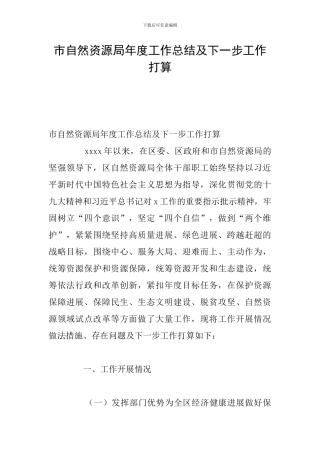 市自然资源局年度工作总结及下一步工作打算