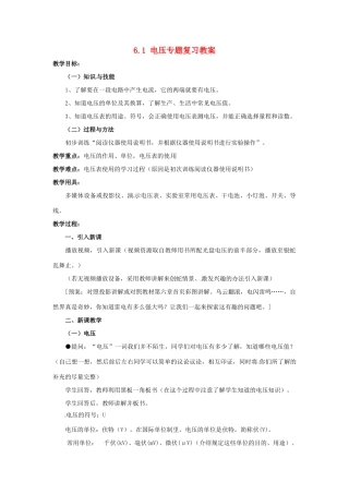云南省元阳县民族中学八年级物理下册《第6章 电压 电阻》6.1 电压专题复习教案 新人教版