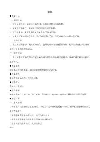 八年级物理新人教版电压2