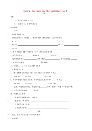 四川省射洪县外国语学校七年级英语上册《Unit 7 How much are the pants Section B》导学案（无答案） 人教新目标版