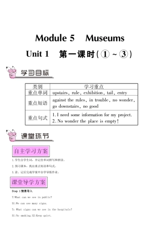 九年级英语上册 Module 5 Museums Unit 1 Don't cross that rope第一课时教案（新版）外研版-（新版）外研版初中九年级上册英语教案