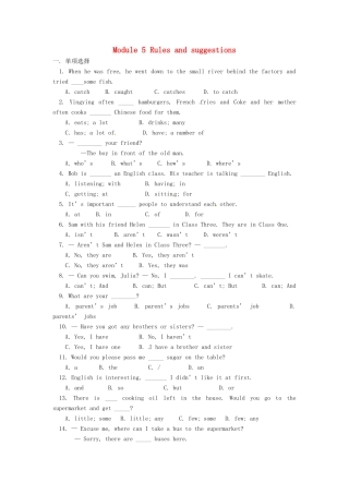 九年级英语下册 Module 5 Rules and suggestions综合练习 外研版