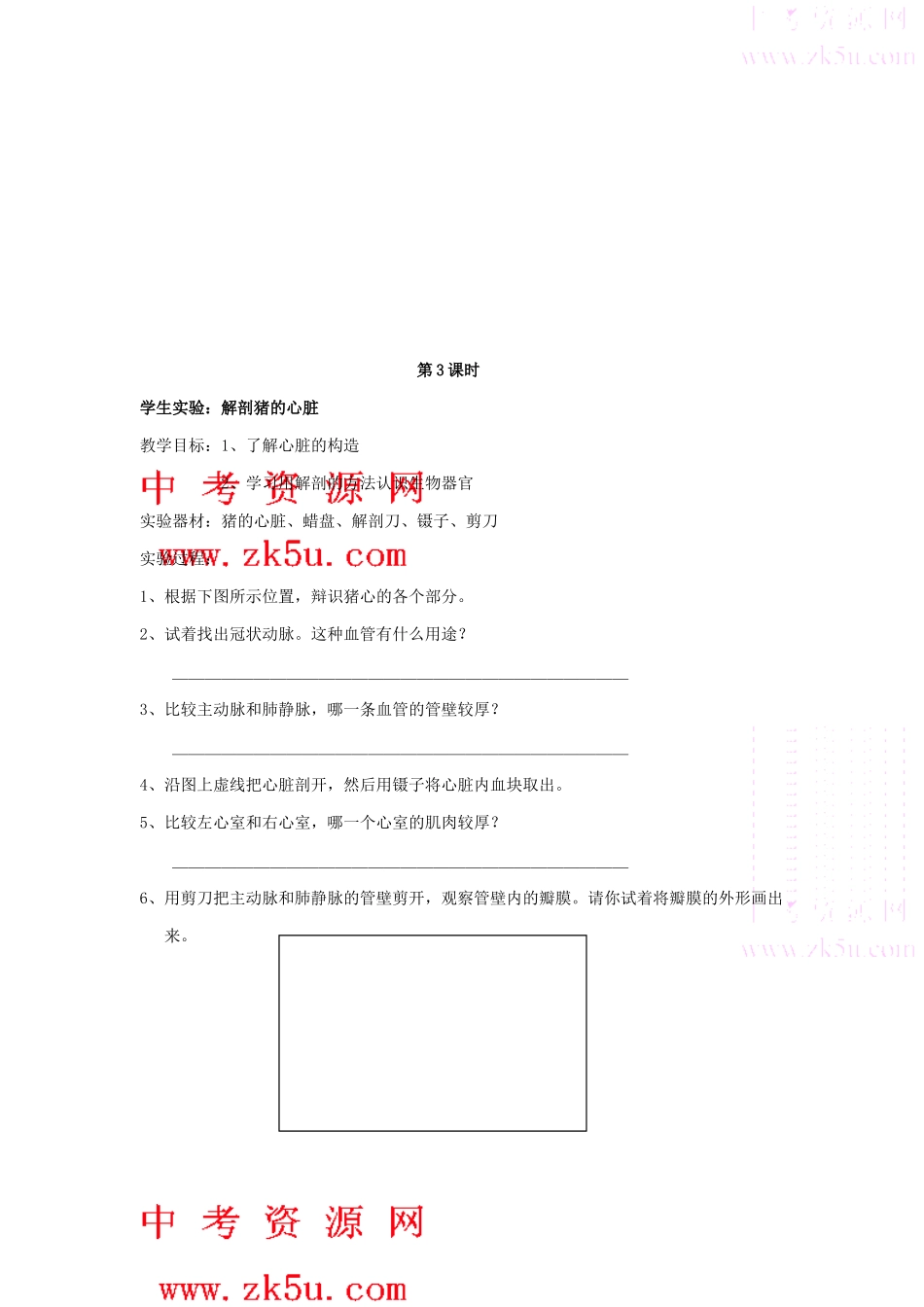 九年级科学上：第4章第3节 体内物质的运输教案浙教版_第2页