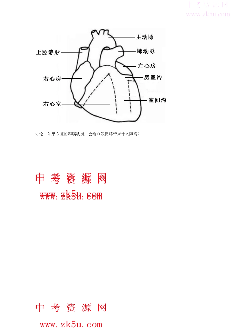 九年级科学上：第4章第3节 体内物质的运输教案浙教版_第3页