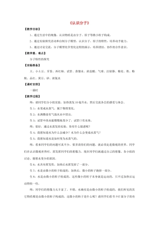 八年级物理下册《10.1 认识分子》教案4 （新版）粤教沪版-（新版）粤教沪版初中八年级下册物理教案