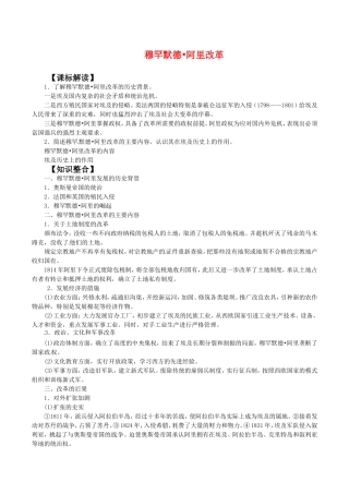 高中历史：4.13《历史上重大改革回眸：穆罕默德·阿里改革》教案岳麓版选修1