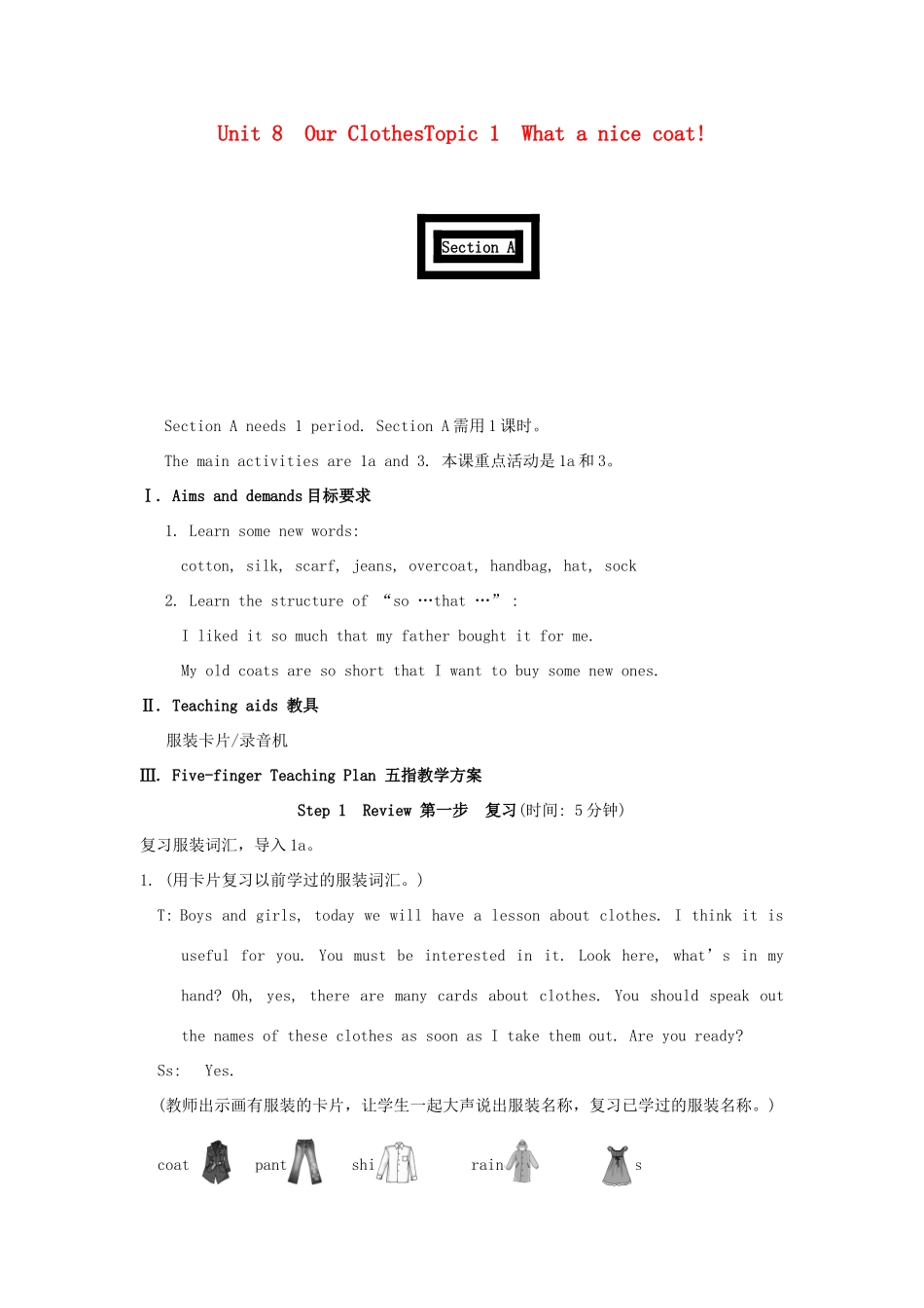 八年级英语下册 What a nice coat! Section 教案 人教新目标版_第1页