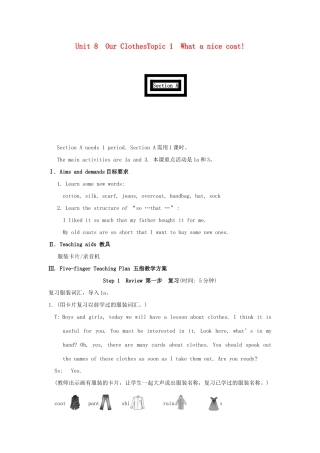 八年级英语下册 What a nice coat! Section 教案 人教新目标版