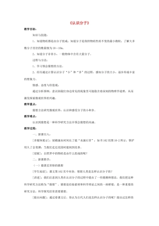 八年级物理下册《10.1 认识分子》教案2 （新版）粤教沪版-（新版）粤教沪版初中八年级下册物理教案