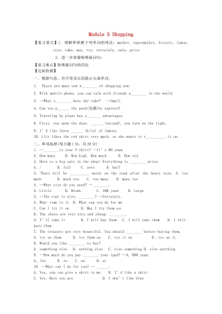 七年级英语下册 Module 5 Shopping复习教案 （新版）外研版-（新版）外研版初中七年级下册英语教案