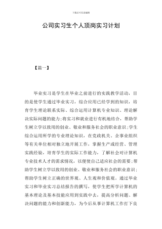 公司实习生个人顶岗实习计划