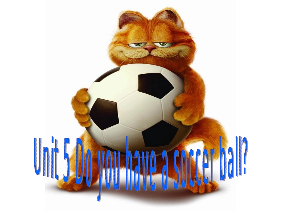 七年级英语上册unit5人教新目标_第1页