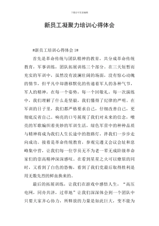 新员工凝聚力培训心得体会