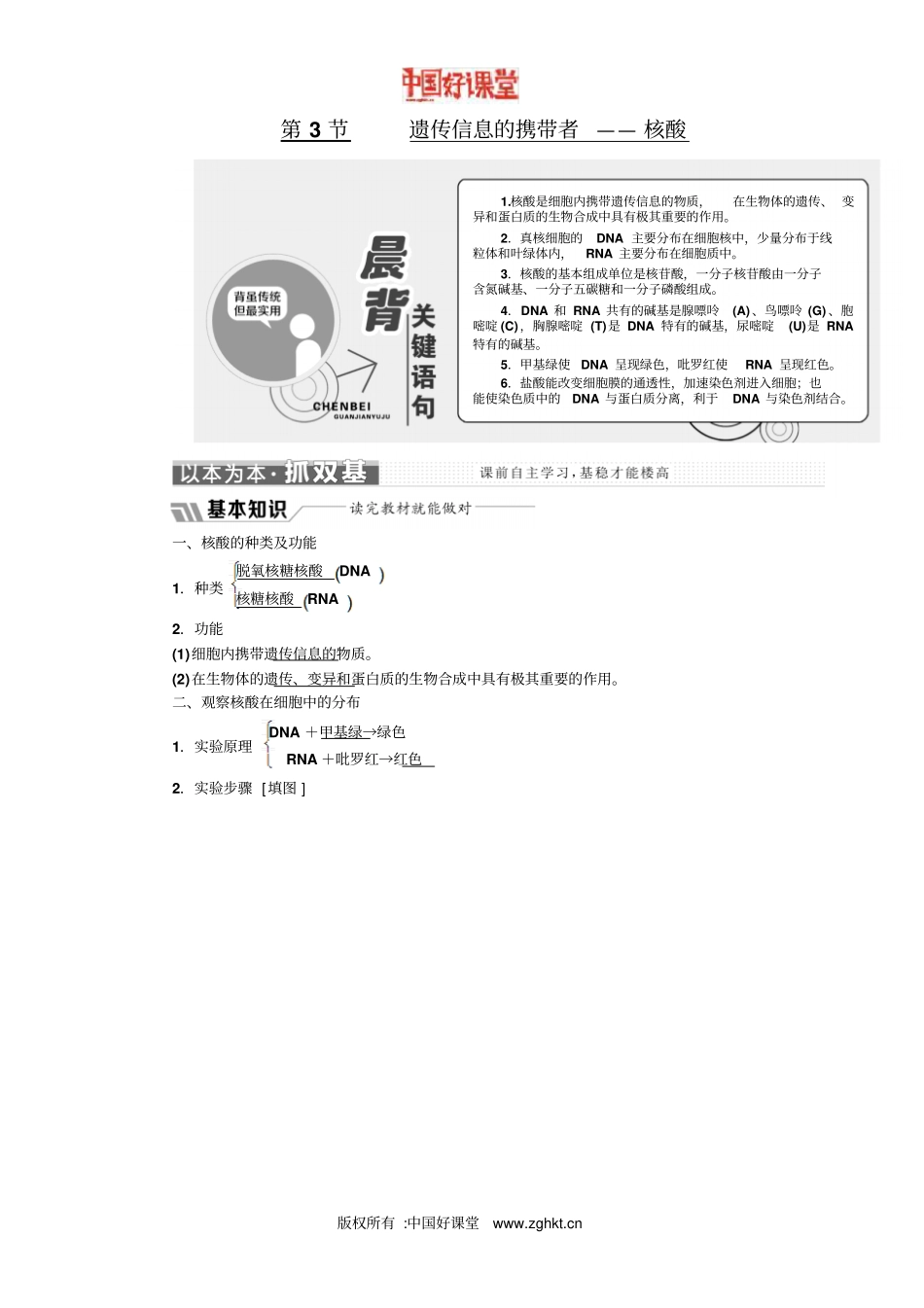 2016新课标三维人教生物必修1第3节遗传信息的携带者——核酸_第1页