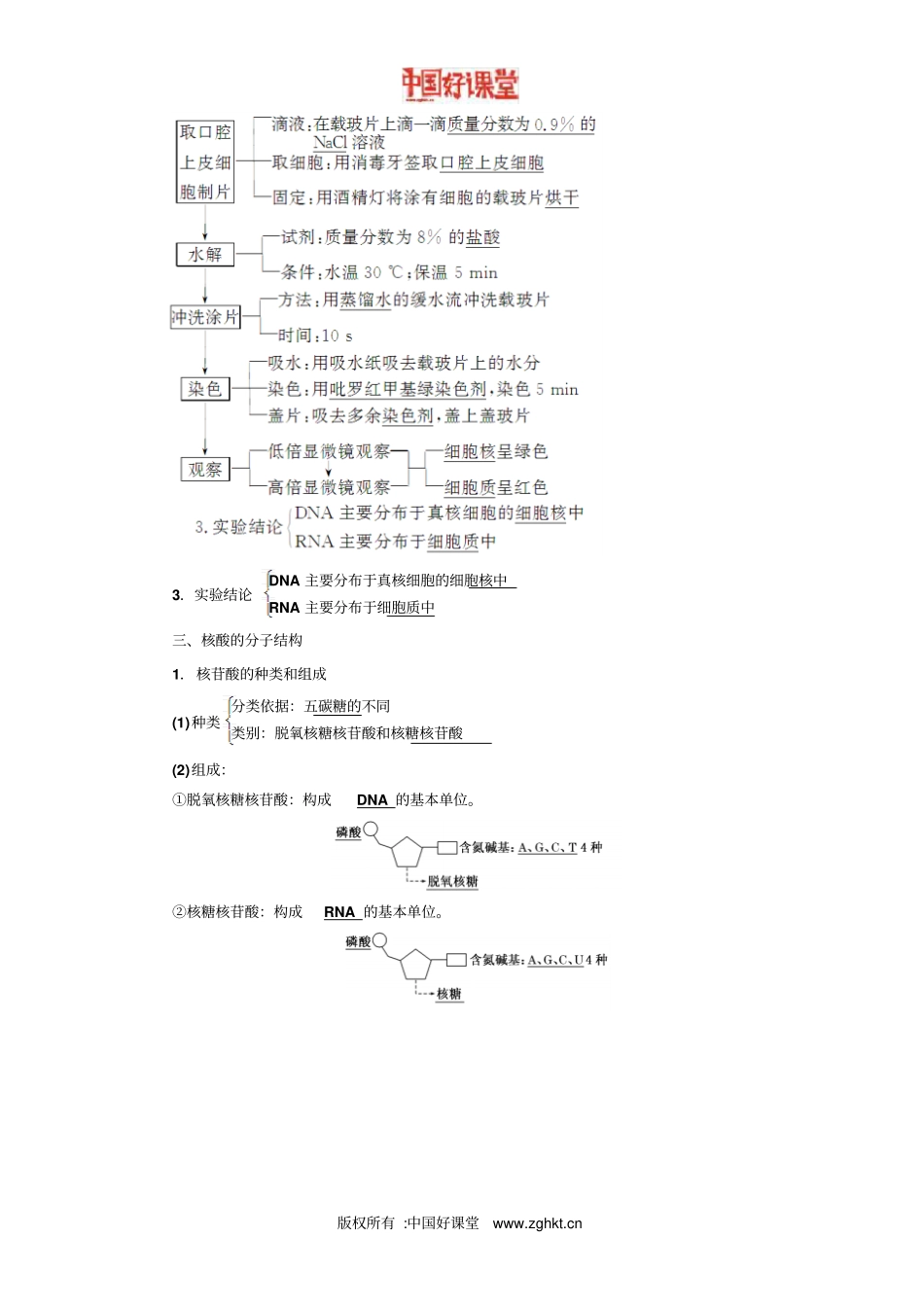 2016新课标三维人教生物必修1第3节遗传信息的携带者——核酸_第2页