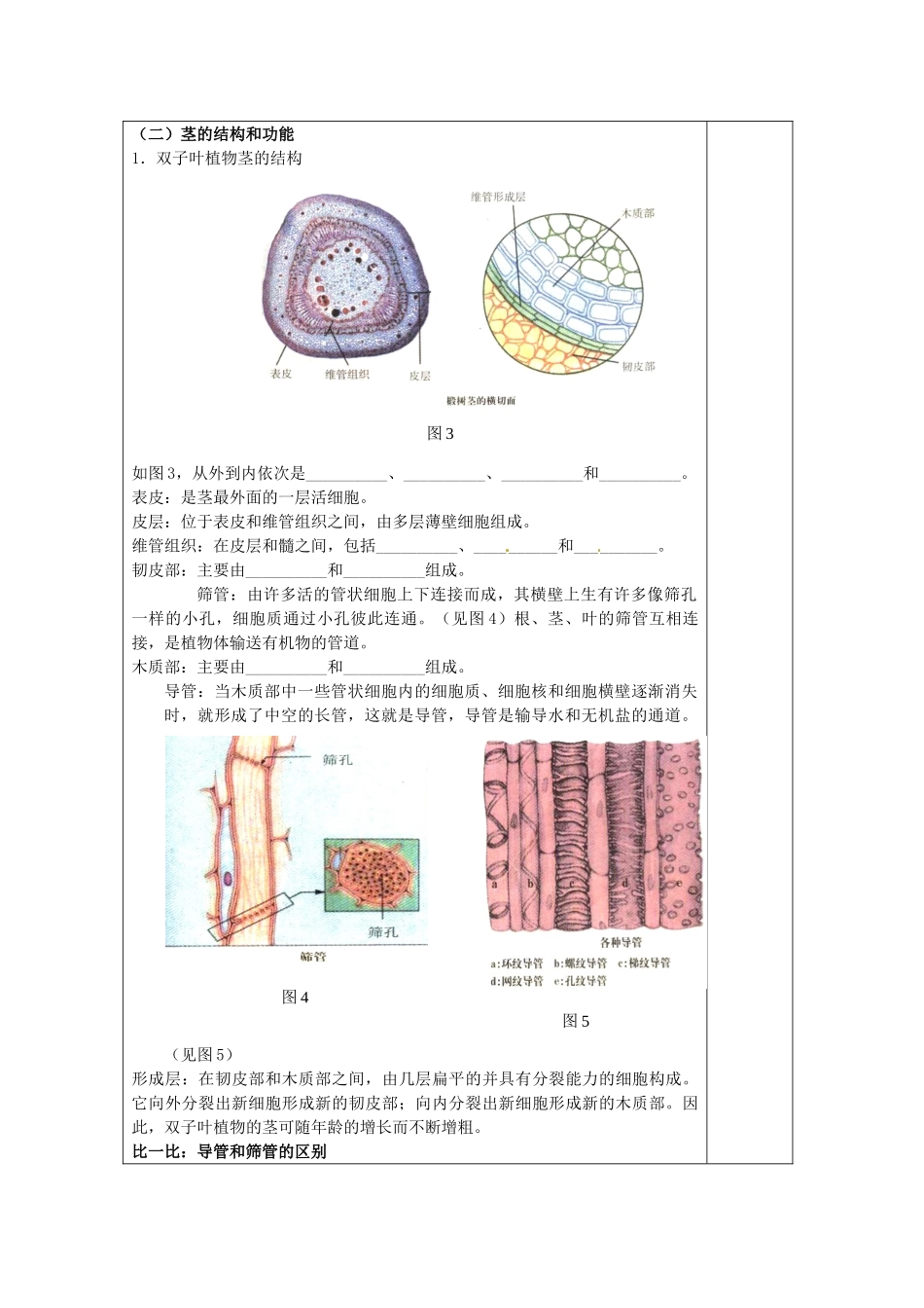 八年级科学上册 6.1 绿色植物的营养器官教案(二) 华东师大版_第3页