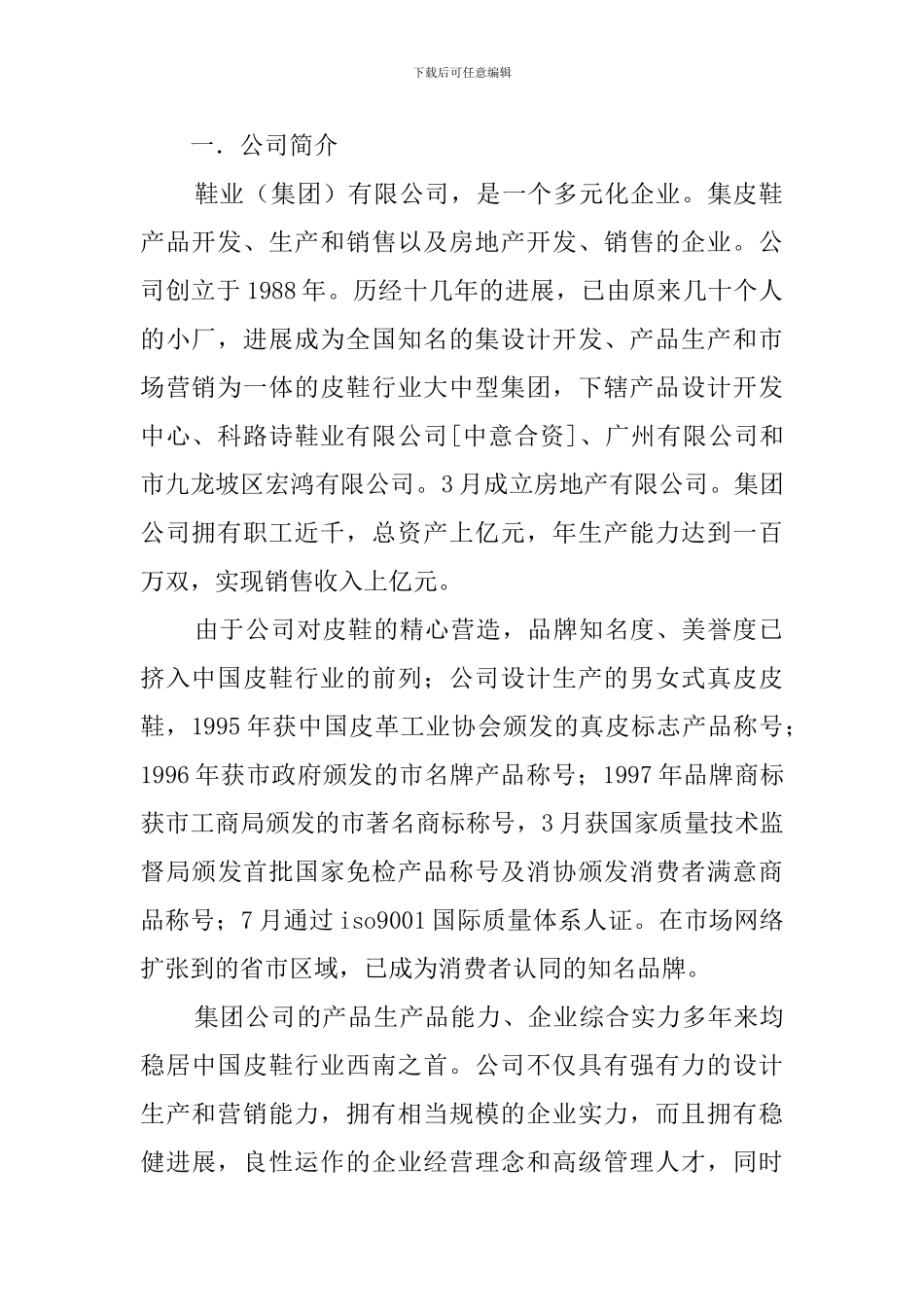 鞋生产企业战略目标和组织结构的调查报告模板_第2页