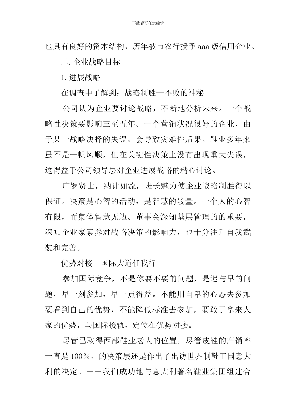 鞋生产企业战略目标和组织结构的调查报告模板_第3页
