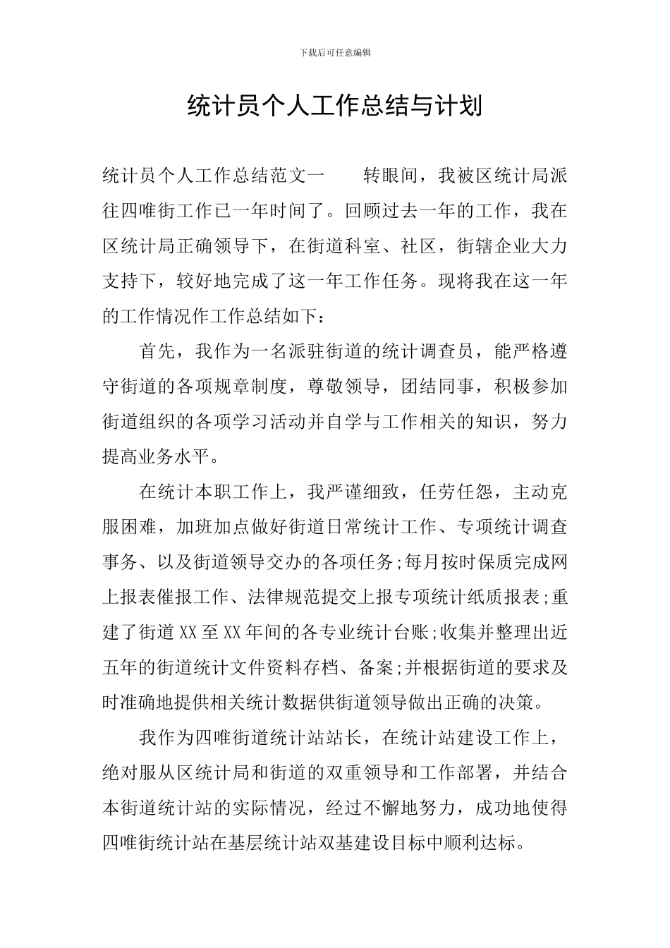 统计员个人工作总结与计划_第1页