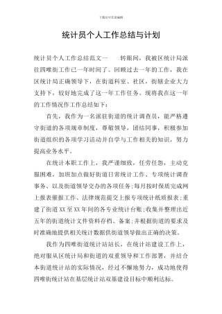 统计员个人工作总结与计划