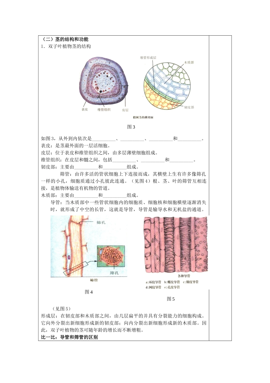 八年级科学上册：6.1 绿色植物的营养器官教案(二) 华东师大版_第3页