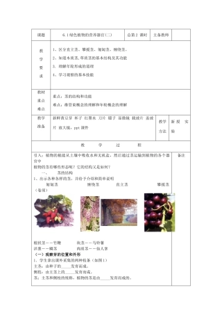 八年级科学上册：6.1 绿色植物的营养器官教案(二) 华东师大版