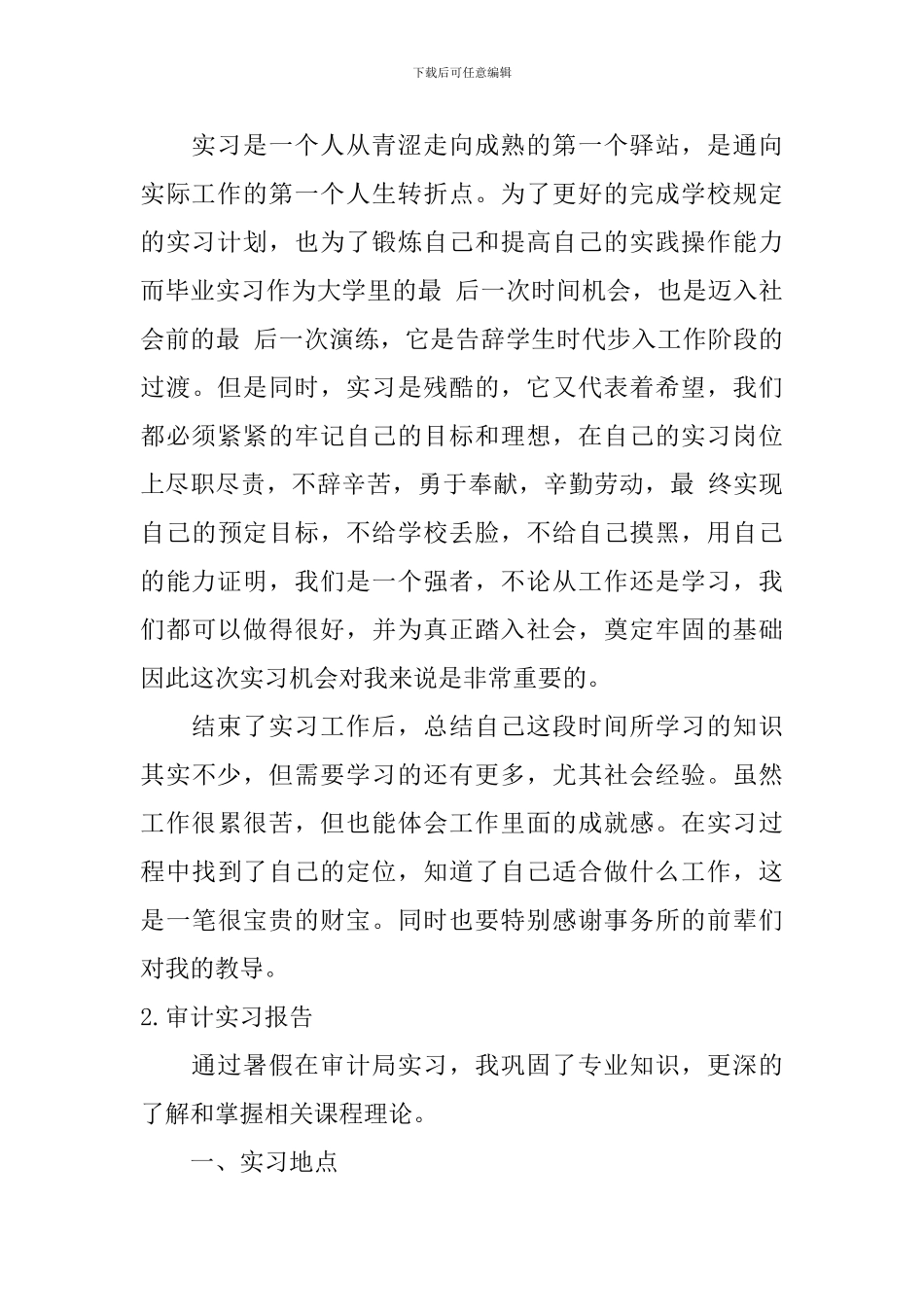 审计实习报告_第3页