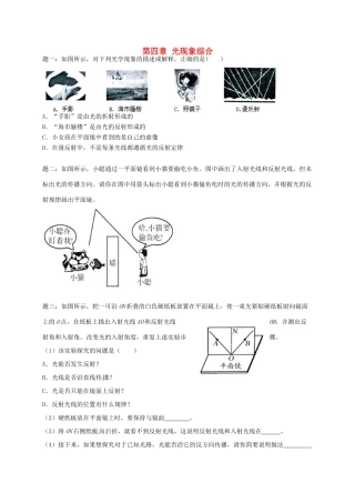 八年级物理上册 第四章 光现象综合课后练习二 （新版）新人教版