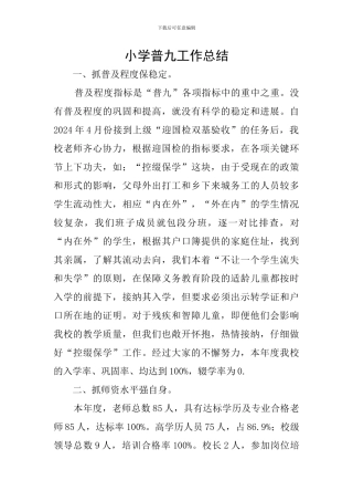 小学普九工作总结
