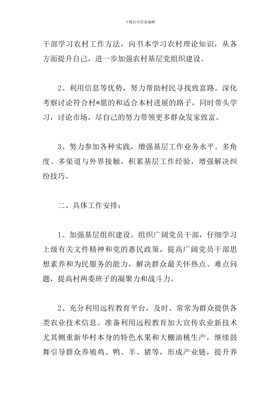 村主任2024年工作计划_第2页