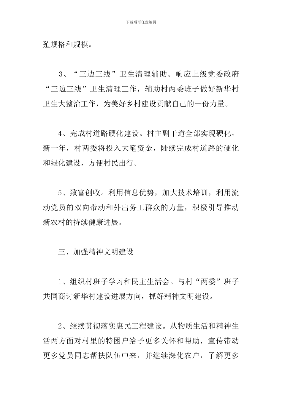 村主任2024年工作计划_第3页