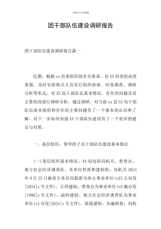 团干部队伍建设调研报告