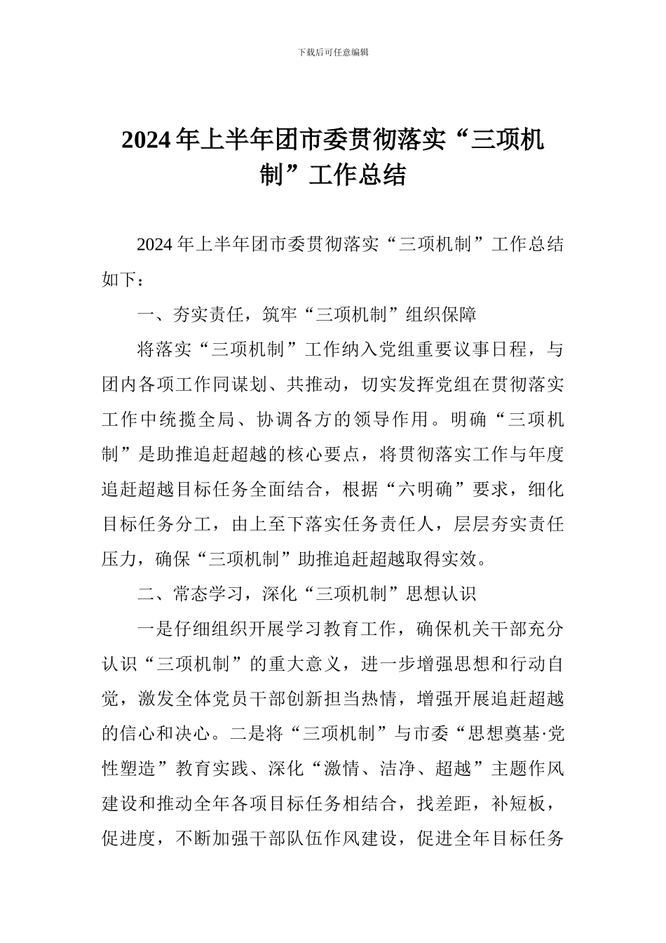 2024年上半年团市委贯彻落实“三项机制”工作总结_第1页