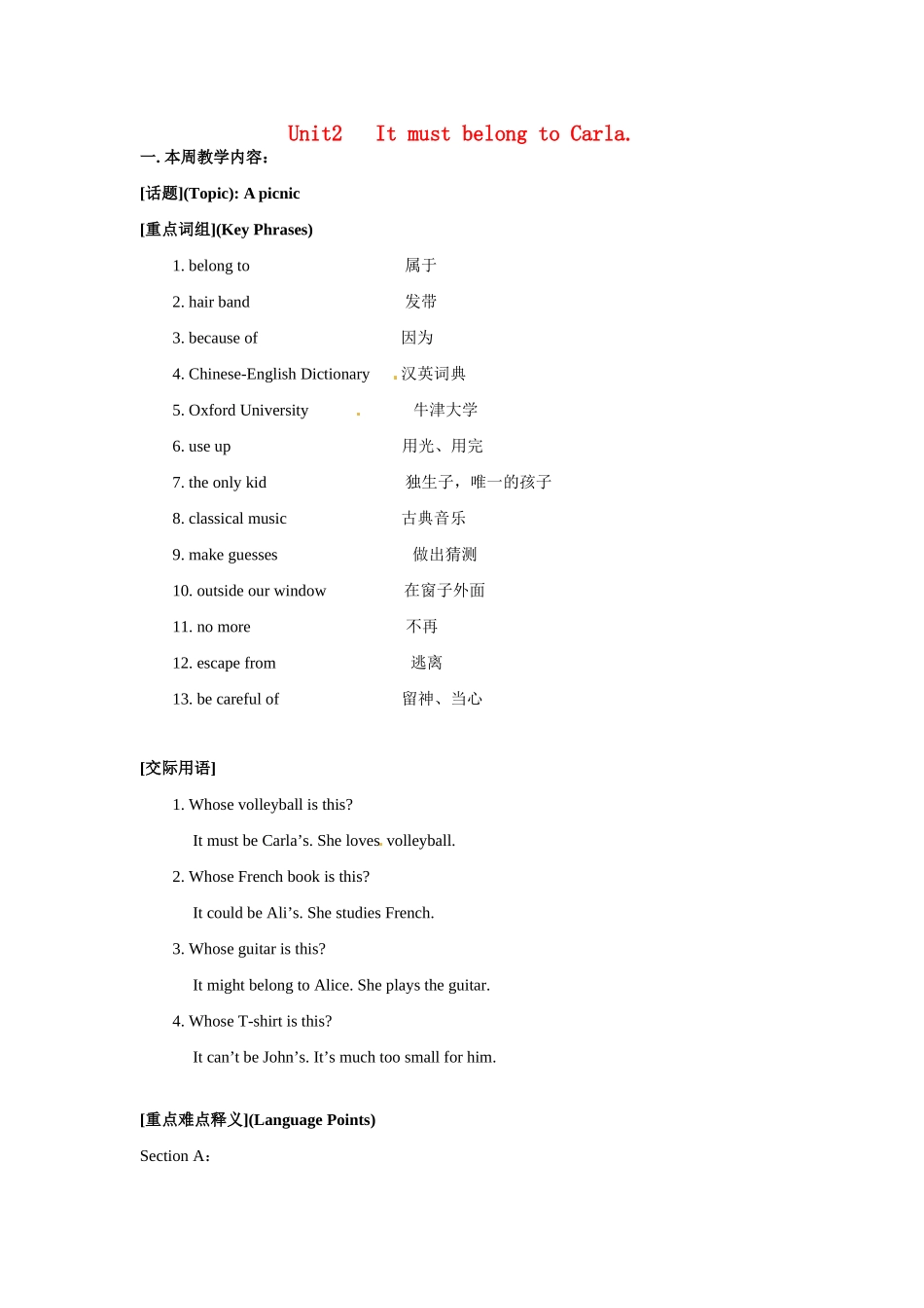 九年级英语：Unit 2 It must belong to Carla（教案5）鲁教版_第1页