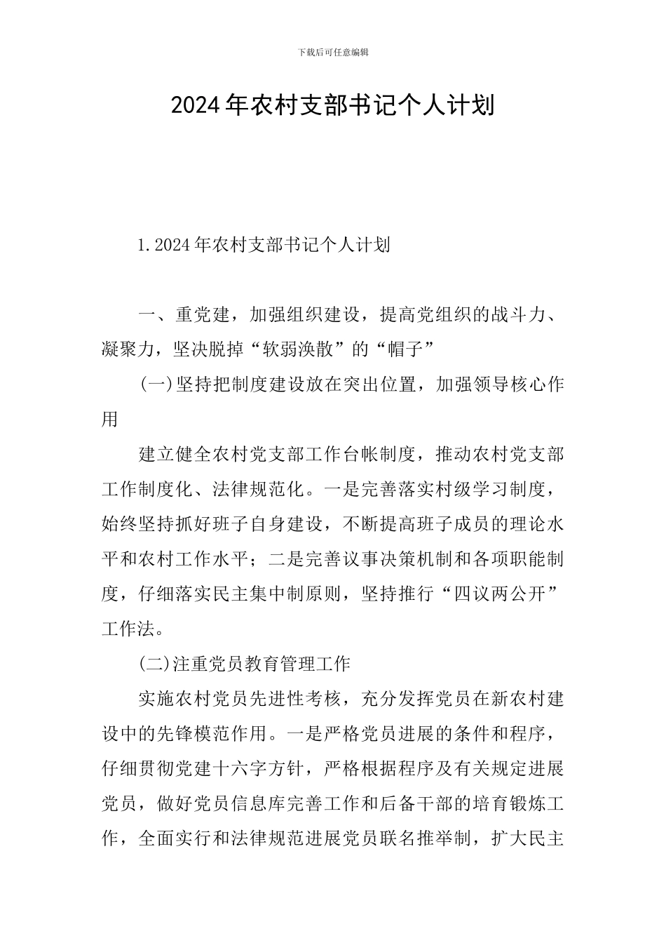 2024年农村支部书记个人计划_第1页