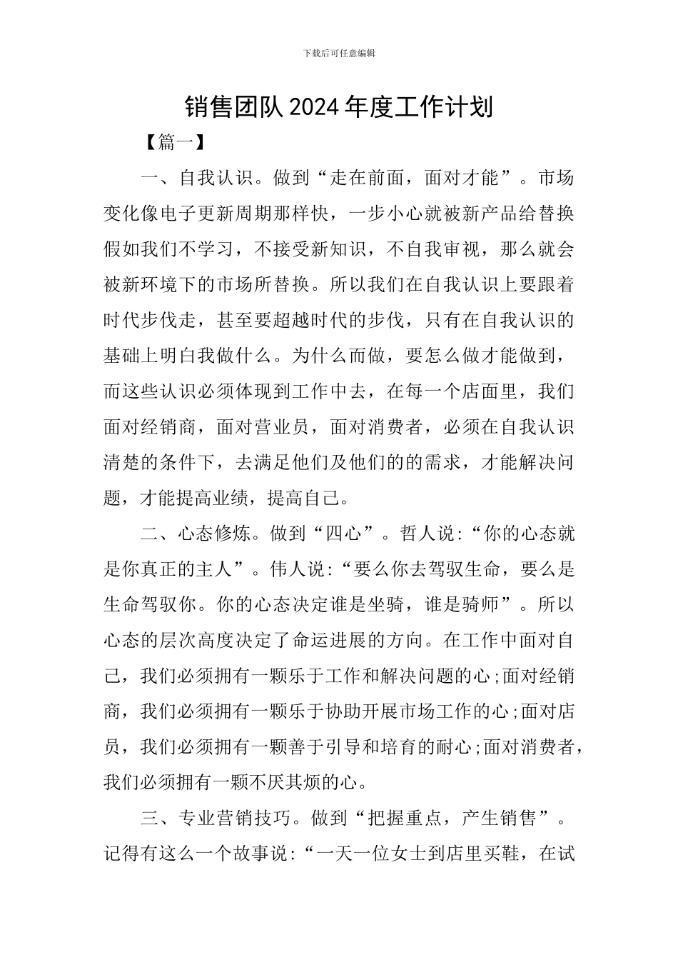 销售团队2024年度工作计划_第1页