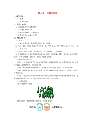 八年级物理上：第六章质量与密度复习教案（一）教科版